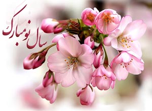 سال نو، آینده‌ای روشن